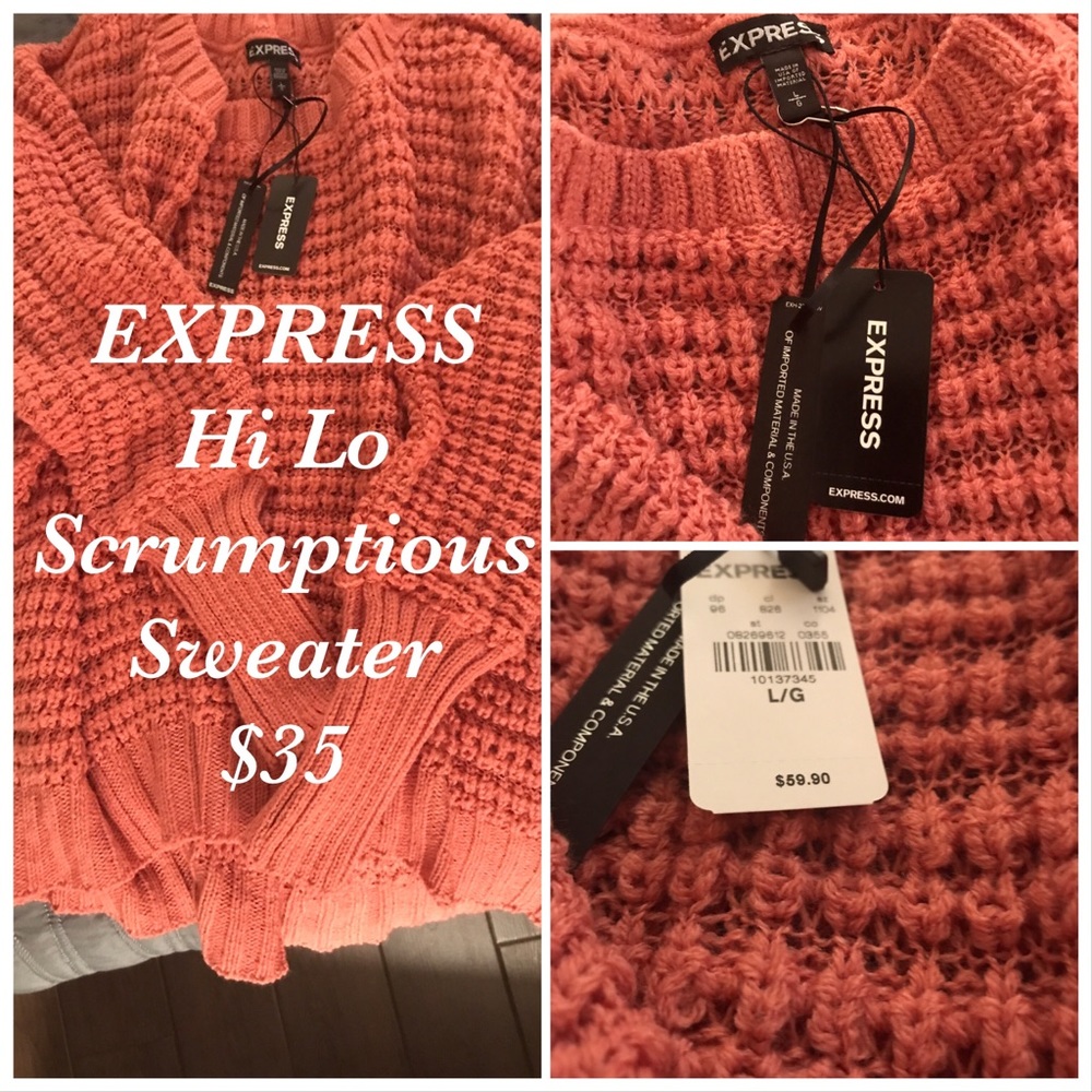 Brand new w/tags scrumptious Hi Lo Express Sweater